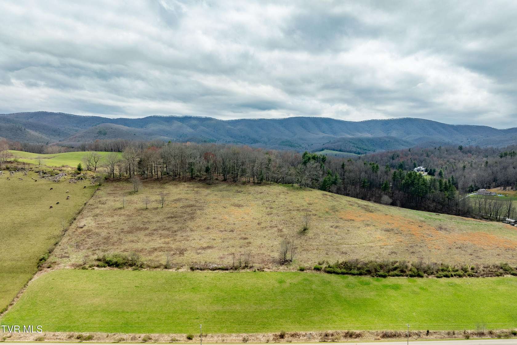 53.24 Acres of Recreational Land & Farm for Sale in Mountain City, Tennessee