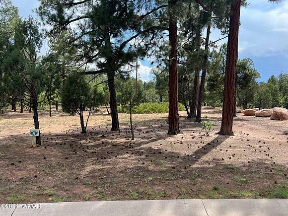 0.27 Acres of Residential Land for Sale in Lakeside, Arizona