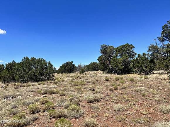 8.4 Acres of Residential Land for Sale in Concho, Arizona