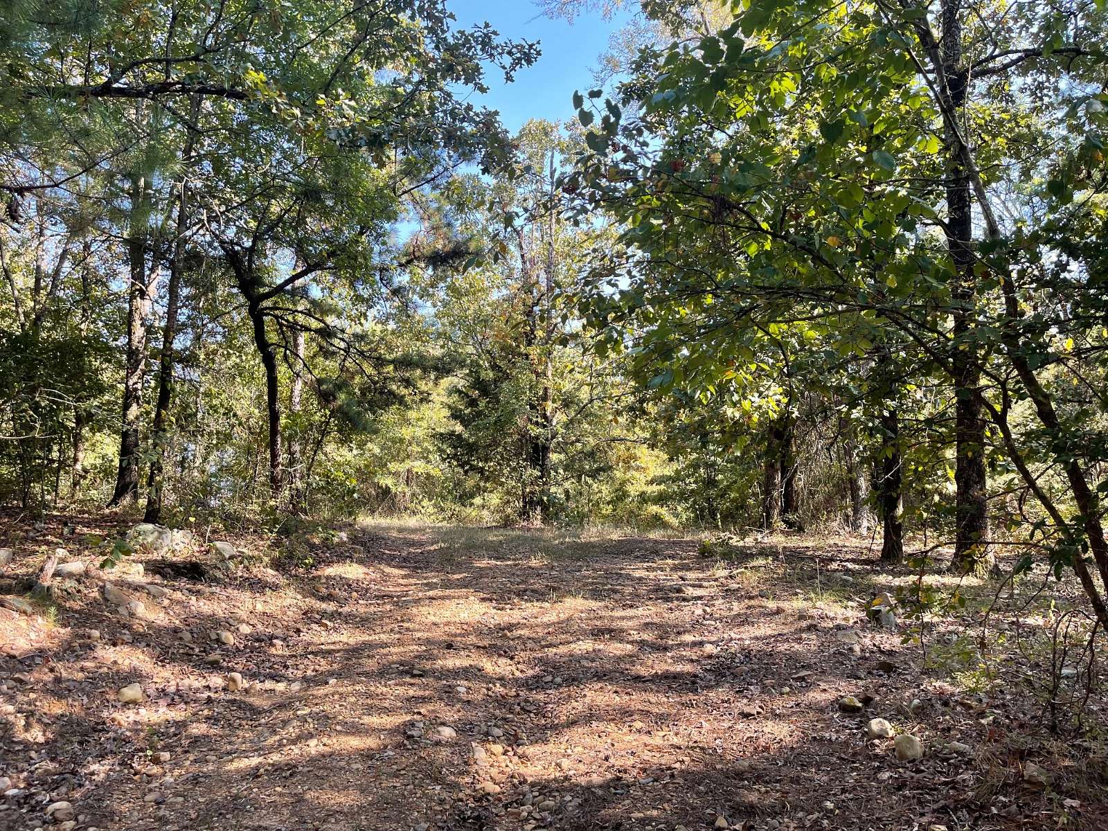 40 Acres of Land for Sale in Fort Towson, Oklahoma
