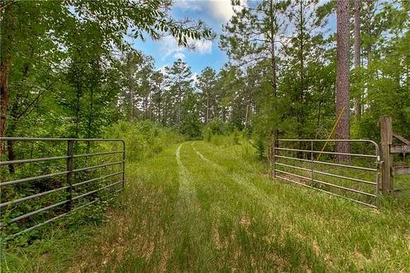 50 Acres of Recreational Land for Sale in Franklinton, Louisiana