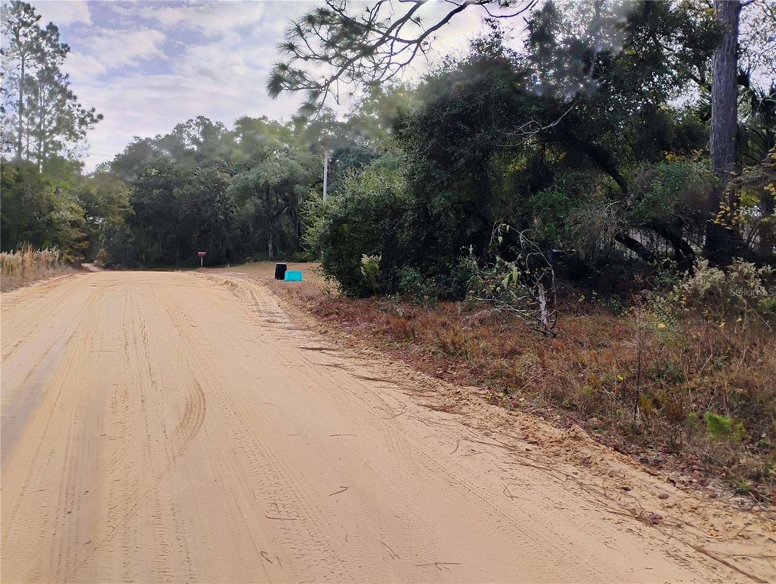 0.59 Acres of Residential Land for Sale in Interlachen, Florida