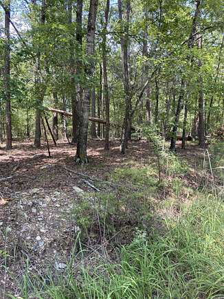 0.26 Acres of Residential Land for Sale in Hot Springs Village, Arkansas