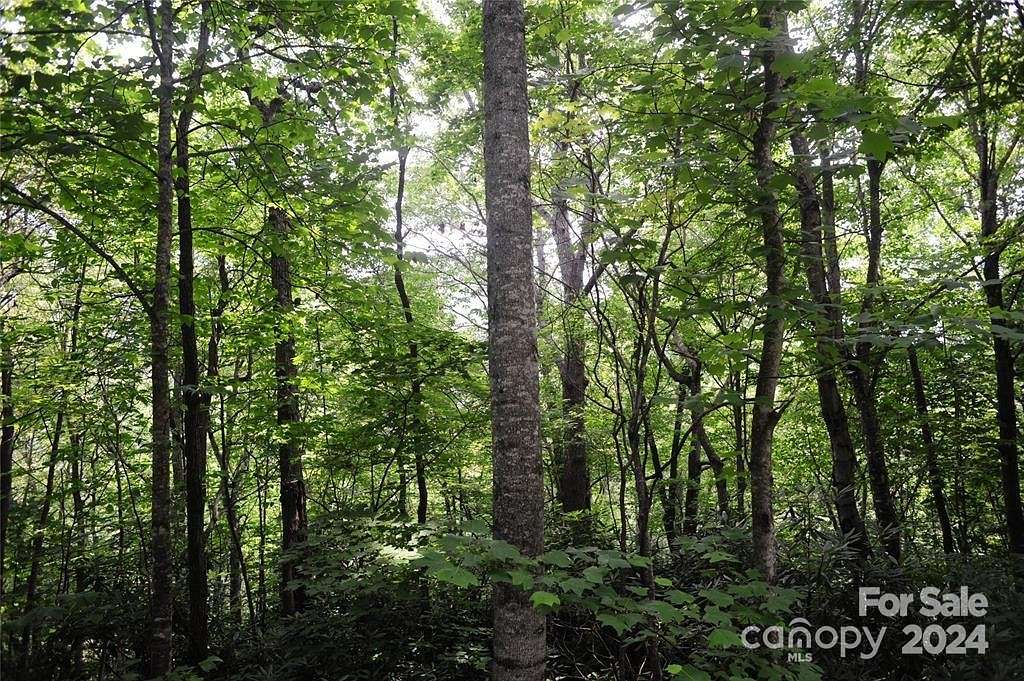 1.12 Acres of Residential Land for Sale in Black Mountain, North Carolina