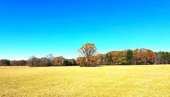 47.34 Acres of Agricultural Land for Sale in Oxford, Mississippi