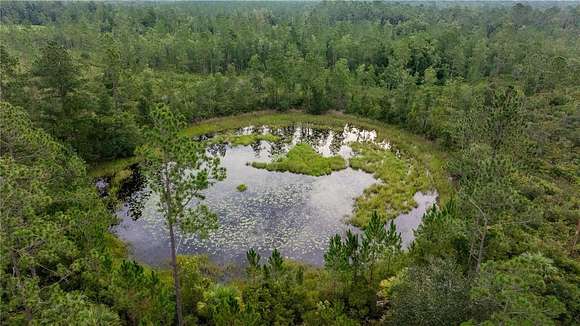 21.08 Acres of Recreational Land for Sale in Fort McCoy, Florida