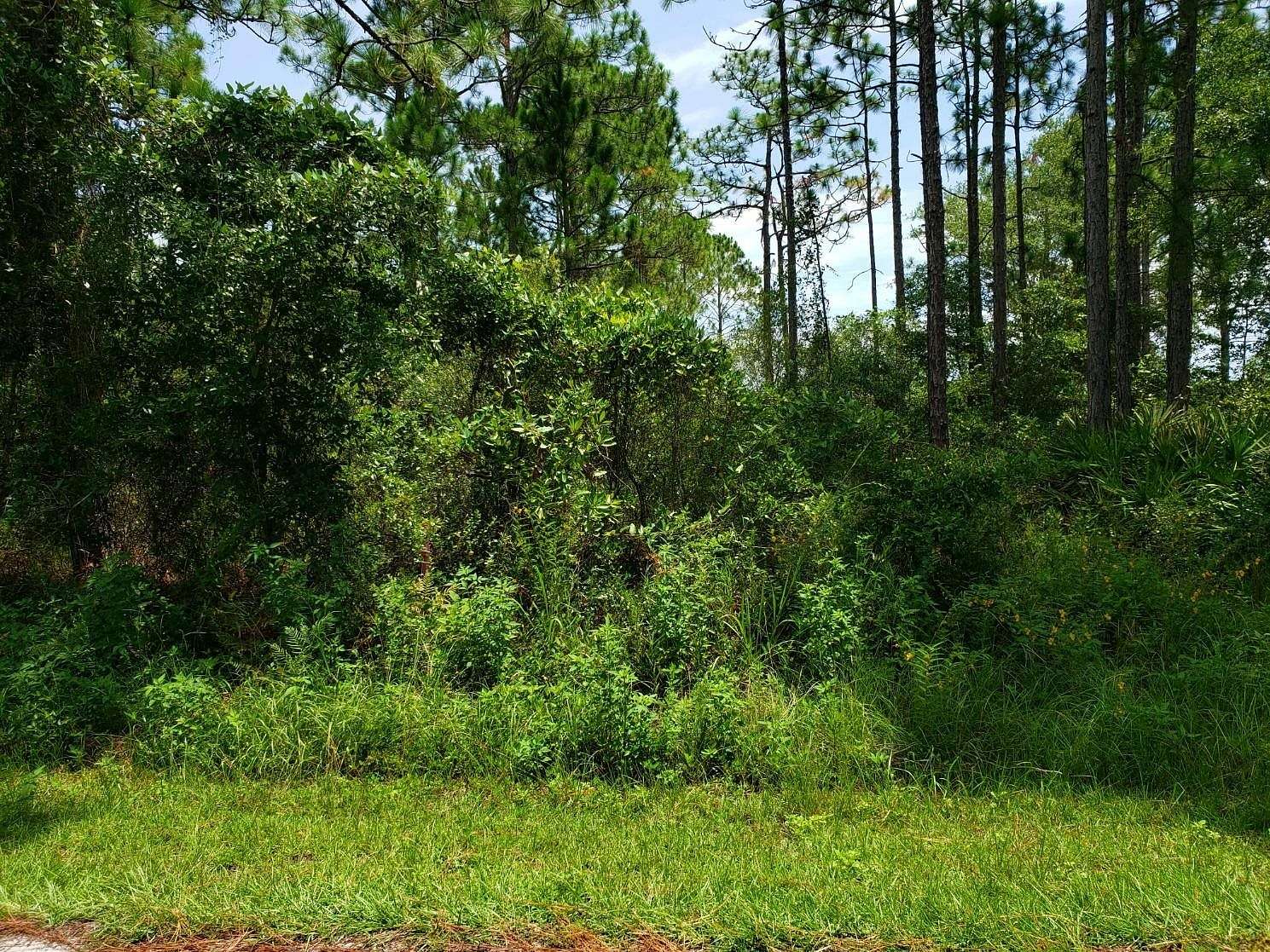 0.45 Acres of Residential Land for Sale in Panacea, Florida