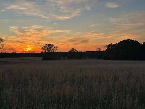 20 Acres of Agricultural Land for Sale in Oxford, Mississippi