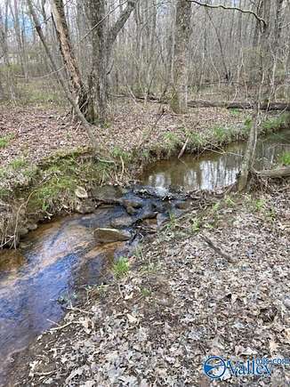 2.07 Acres of Residential Land for Sale in Mentone, Alabama