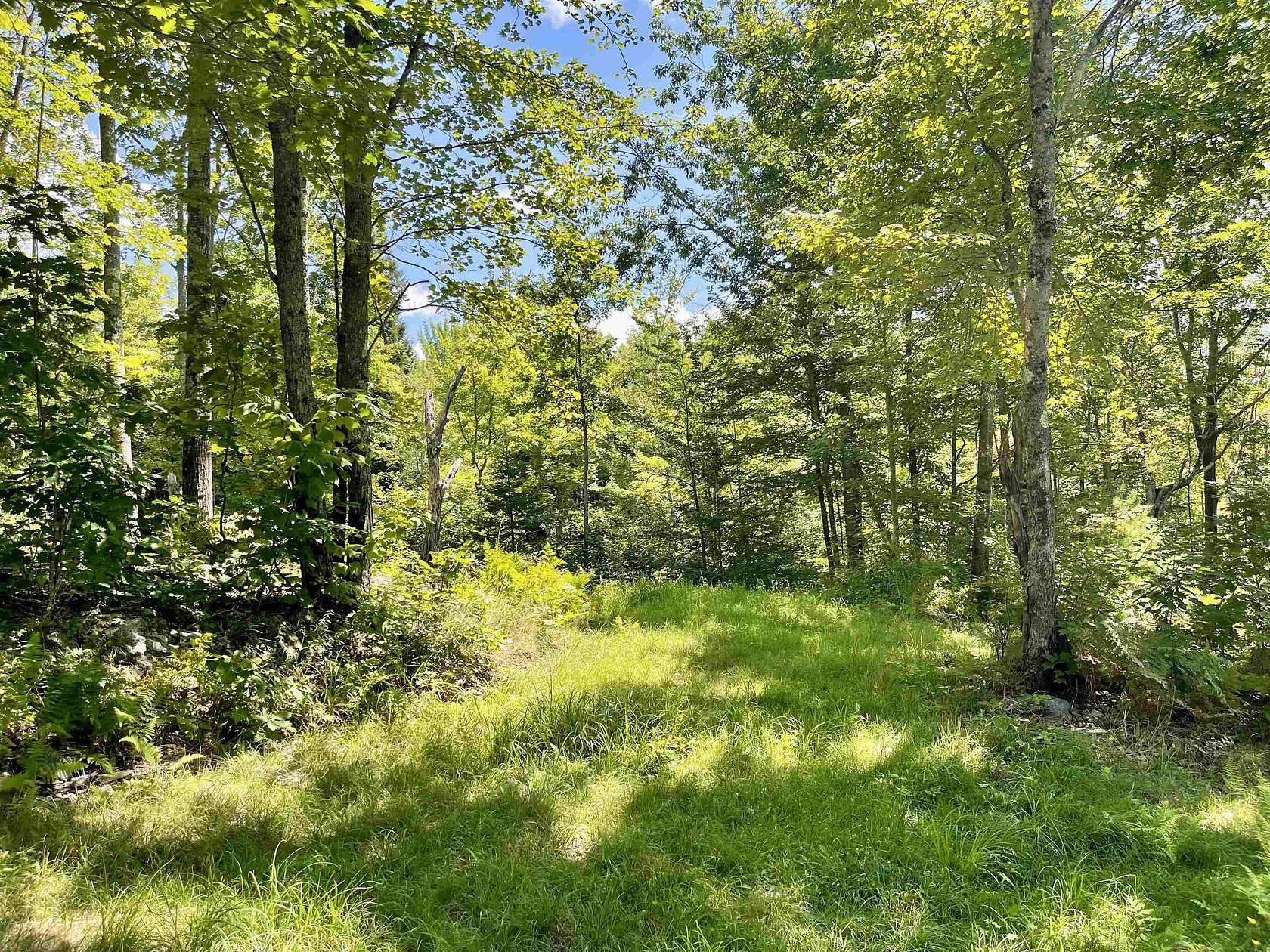 15 Acres of Land for Sale in Waterford Town, Vermont