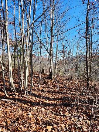 9.62 Acres of Land for Sale in Murphy, North Carolina