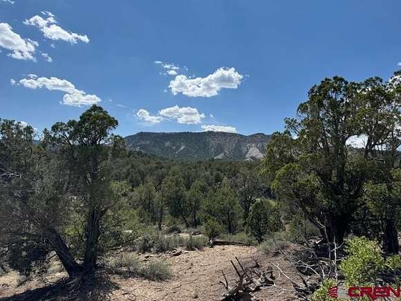 20 Acres of Land for Sale in Durango, Colorado