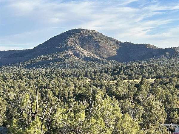 20 Acres of Land for Sale in Durango, Colorado