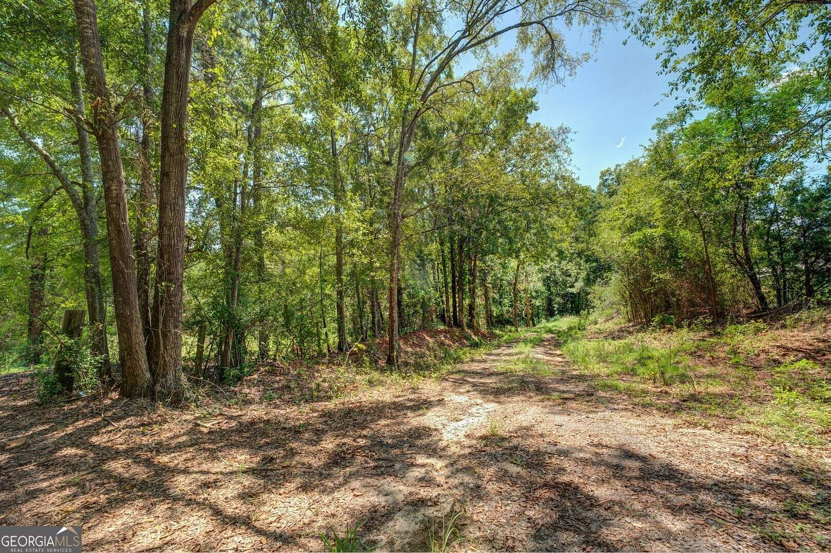 60.7 Acres of Agricultural Land for Sale in Monticello, Georgia