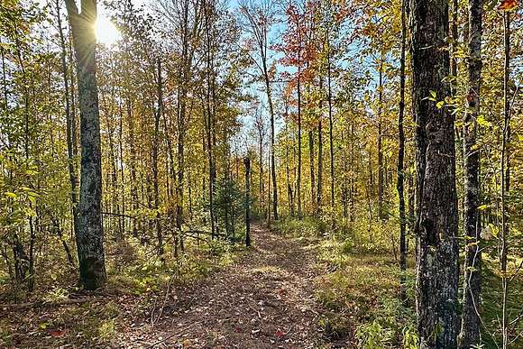 15 Acres of Recreational Land for Sale in Butternut, Wisconsin