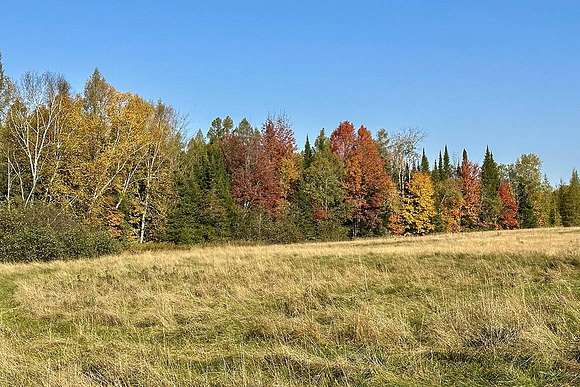 15 Acres of Land for Sale in Butternut, Wisconsin