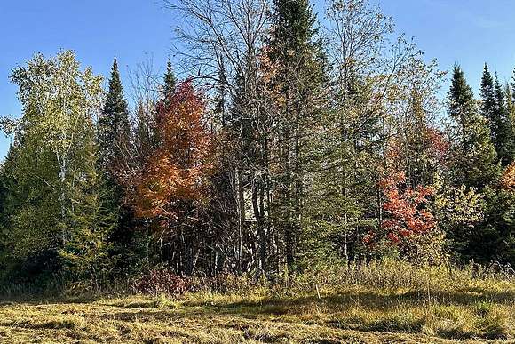 Great Mixture Of Pines & Hardwoods