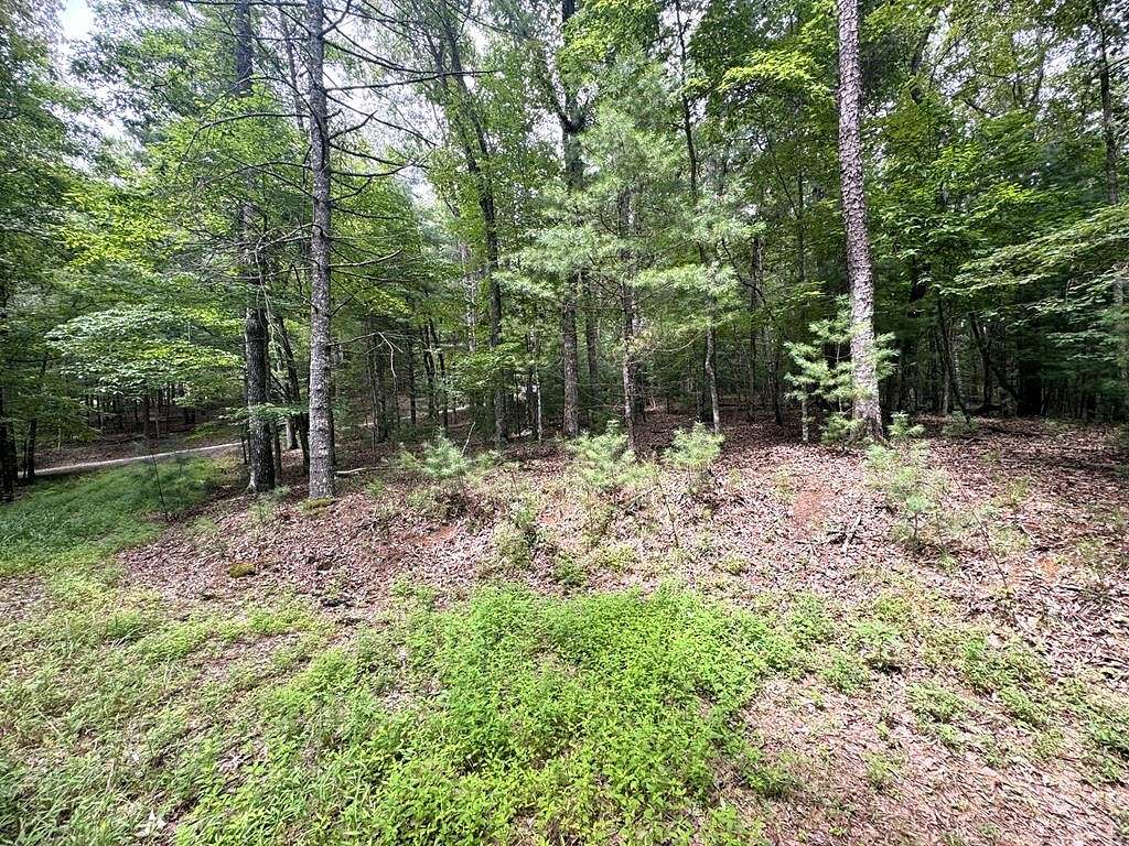 2.06 Acres of Residential Land for Sale in Blue Ridge, Georgia