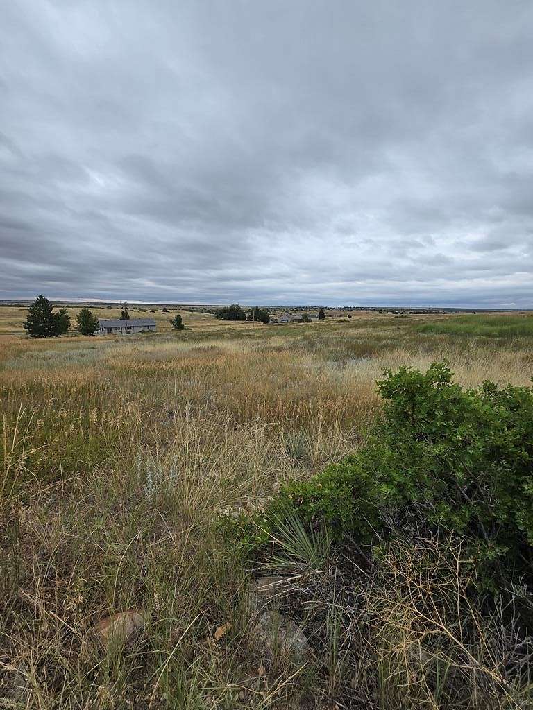 0.29 Acres of Residential Land for Sale in Colorado City, Colorado