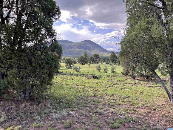 120 Acres of Land with Home for Sale in Reserve, New Mexico