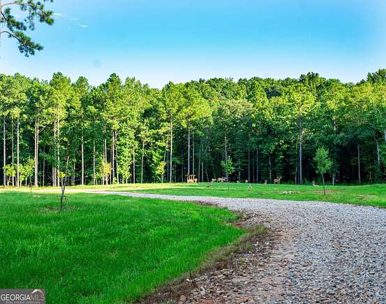 162 Acres of Recreational Land & Farm for Sale in Five Points, Alabama