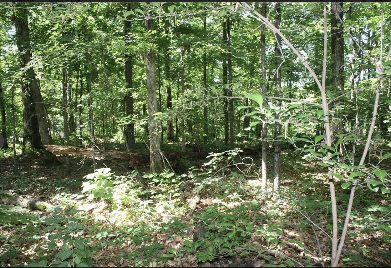 6.76 Acres of Land for Sale in Wappapello, Missouri