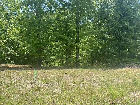 3.7 Acres of Residential Land for Sale in Trenton, Georgia - LandSearch