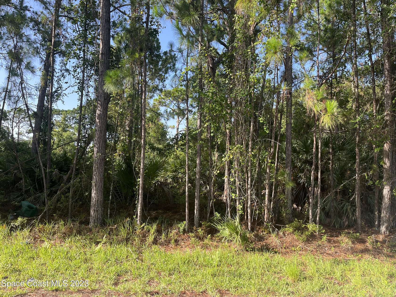 0.23 Acres of Residential Land for Sale in Palm Bay, Florida