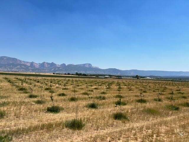 39.88 Acres of Recreational Land & Farm for Sale in New Harmony, Utah