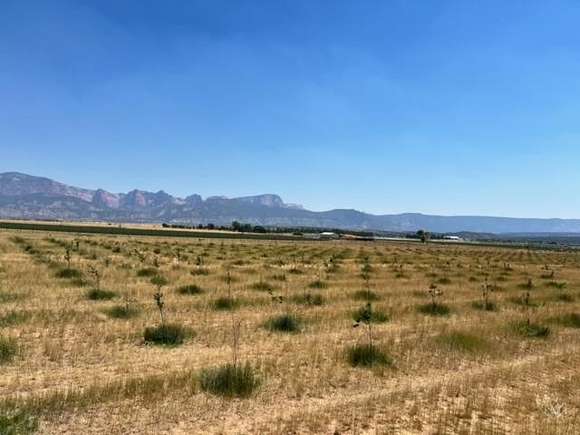 39.88 Acres of Recreational Land & Farm for Sale in New Harmony, Utah