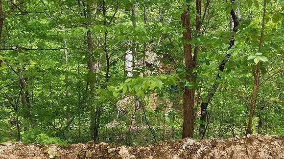 15 Acres of Recreational Land for Sale in Dogpatch, Arkansas