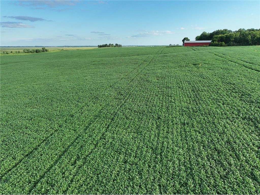 110.4 Acres of Agricultural Land for Sale in Shible Township, Minnesota