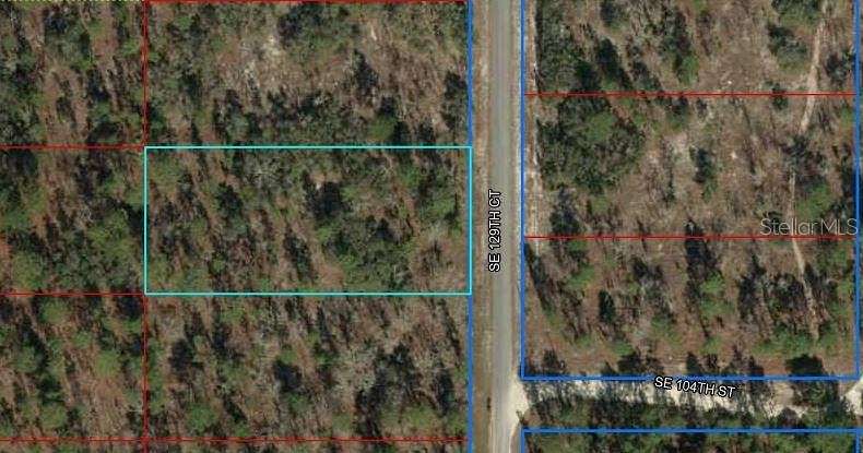 1 Acre of Residential Land for Sale in Dunnellon, Florida