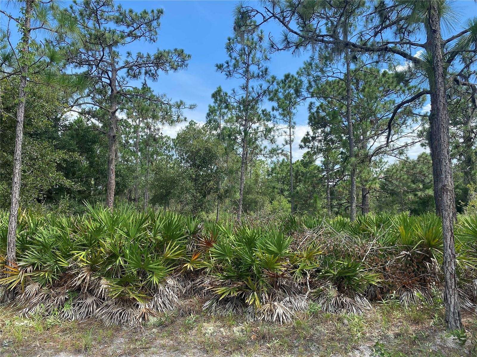 0.5 Acres of Residential Land for Sale in Indian Lake Estates, Florida