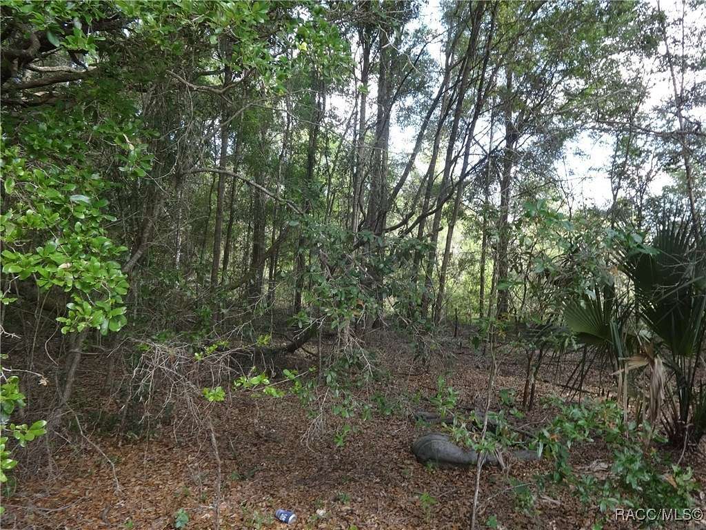 0.29 Acres of Residential Land for Sale in Crystal River, Florida