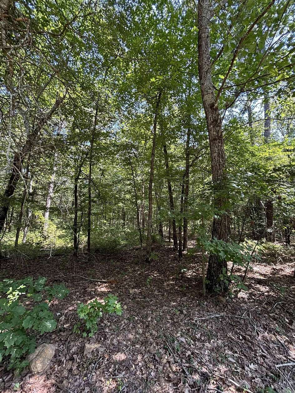 1.01 Acres of Residential Land for Sale in Clinton, Arkansas