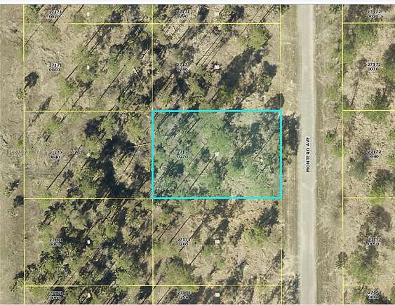 0.244 Acres of Residential Land for Sale in Lehigh Acres, Florida