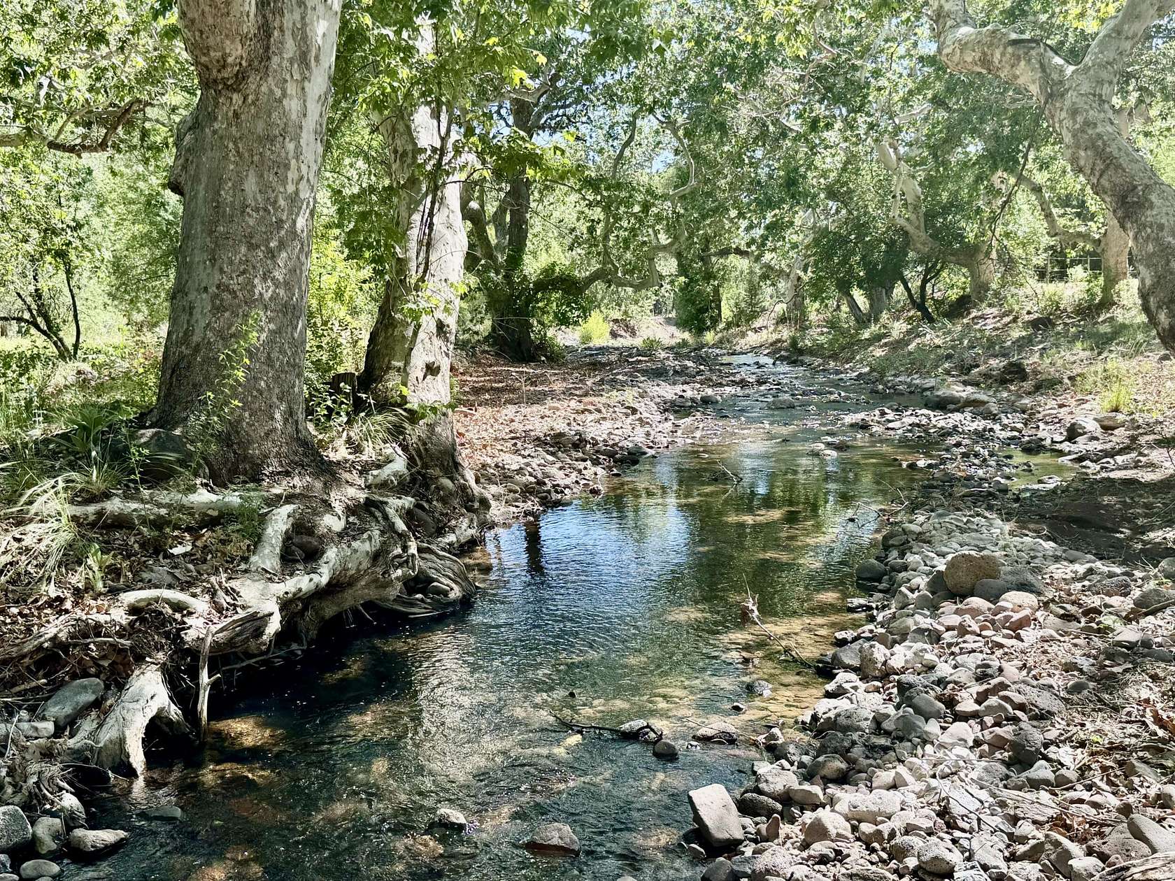 106.66 Acres of Improved Recreational Land for Sale in Glenwood, New Mexico