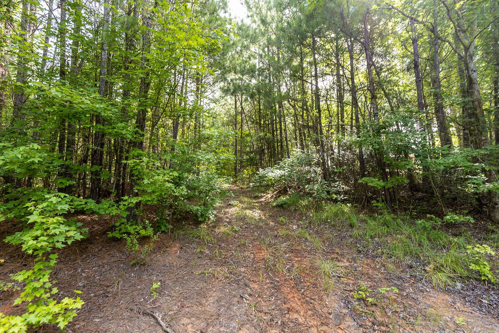 103 Acres of Recreational Land for Sale in Marion, Alabama