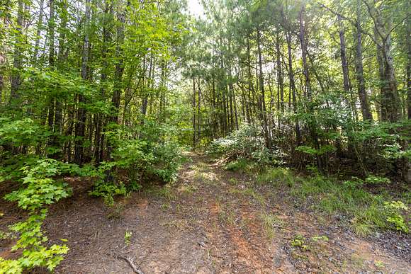 103 Acres of Recreational Land for Sale in Marion, Alabama