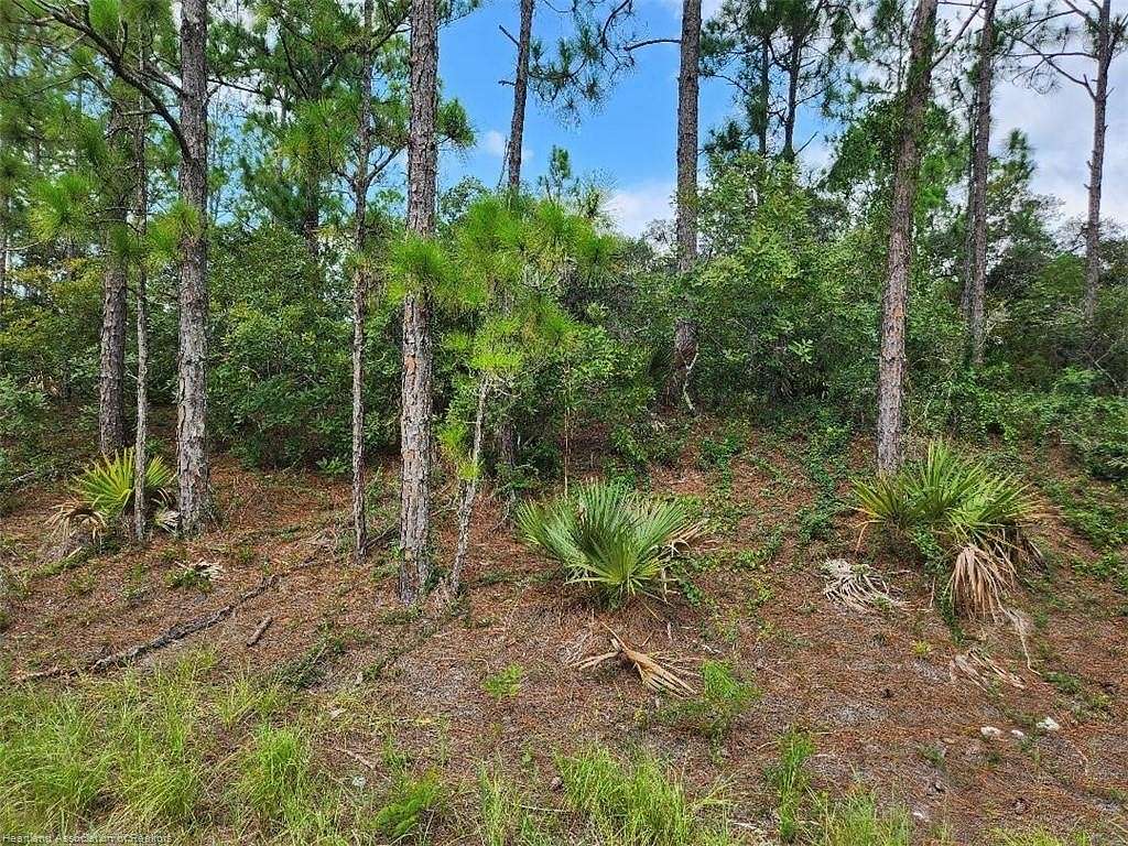 0.23 Acres of Residential Land for Sale in Lake Placid, Florida