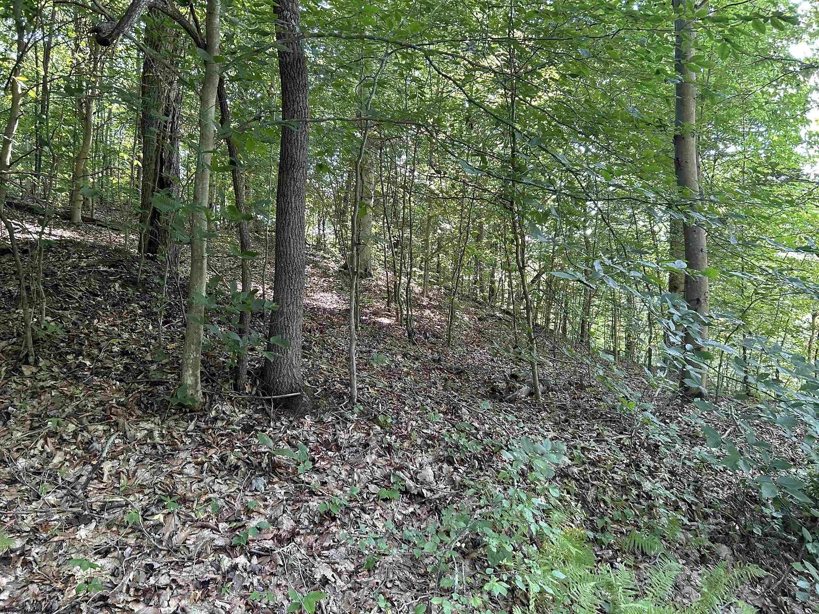 4.7 Acres of Residential Land for Sale in Four States, West Virginia