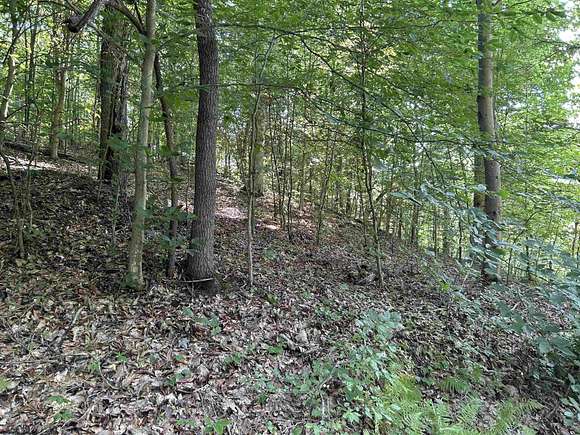 4.7 Acres of Residential Land for Sale in Four States, West Virginia