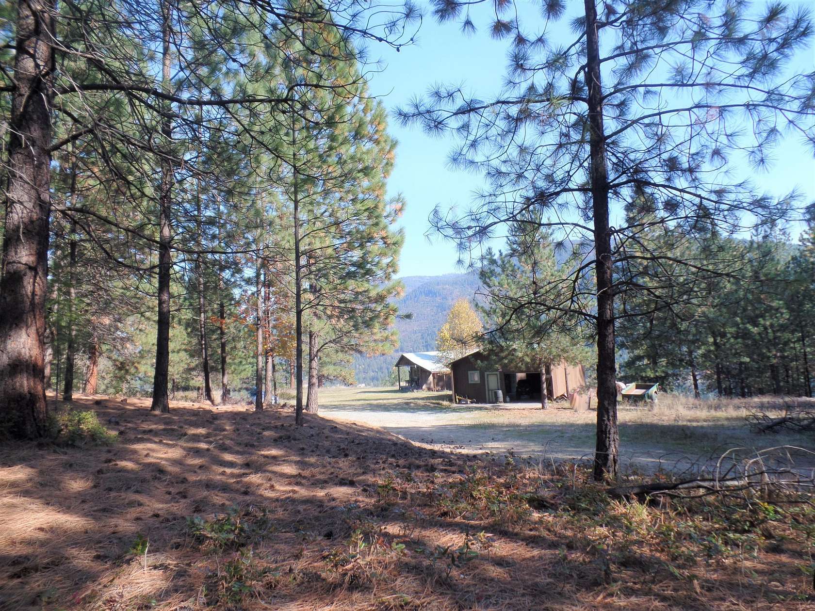 3 Acres of Residential Land with Home for Sale in Kettle Falls ...