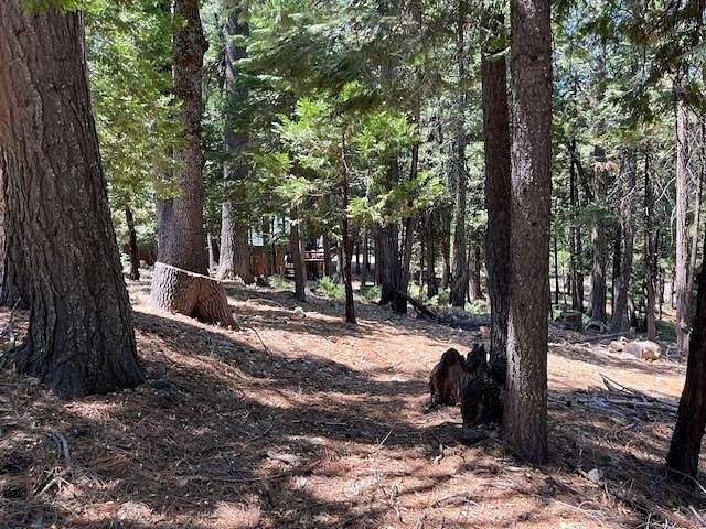 0.45 Acres of Residential Land for Sale in Camp Connell, California