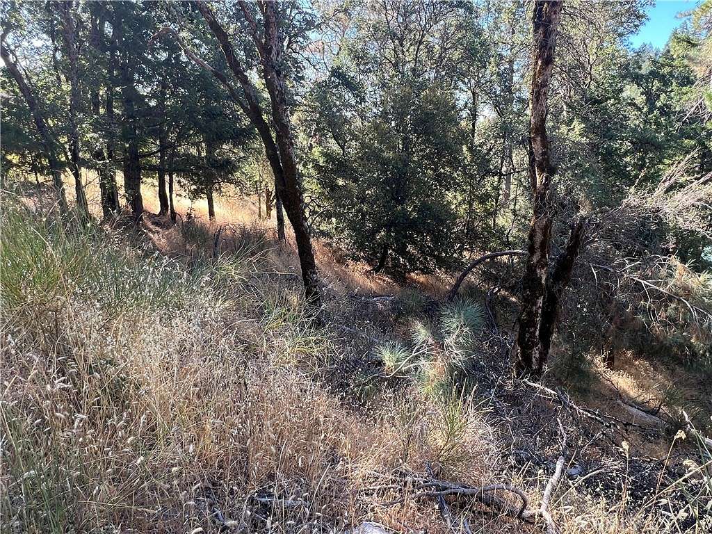 0.36 Acres of Residential Land for Sale in Cobb, California