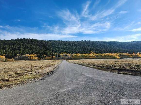 5 Acres of Residential Land for Sale in Island Park, Idaho