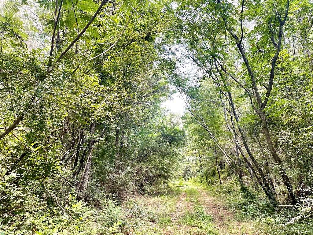 28.5 Acres of Recreational Land for Sale in Brookhaven, Mississippi