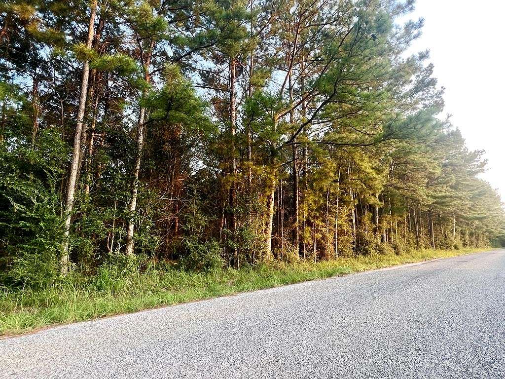 6 Acres of Residential Land for Sale in Bogue Chitto, Mississippi