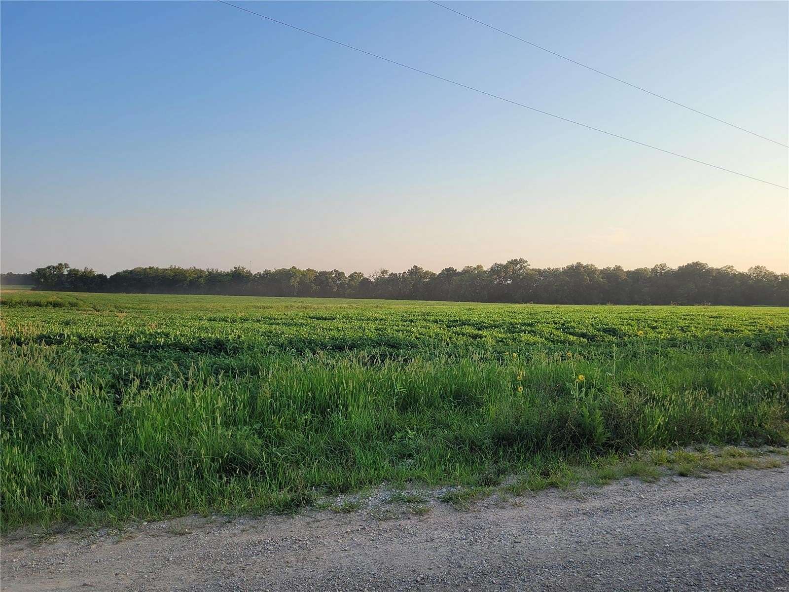 15 Acres of Land for Sale in Bellflower, Missouri